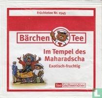 Im Tempel des Maharadscha