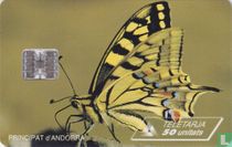 Swallowtail butterfly