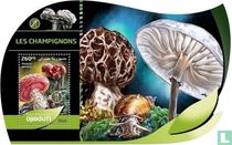 Les champignons