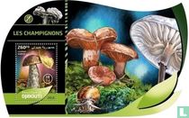 Les champignons