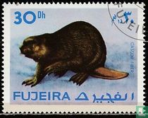 animaux