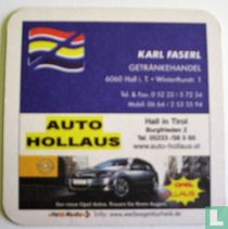 Auto Hollaus / Allianz