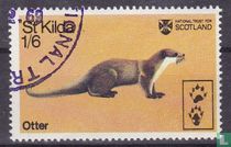 St. Kilda Otter