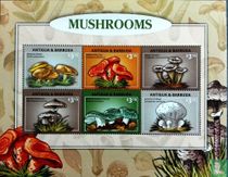 Champignons