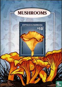 Champignons