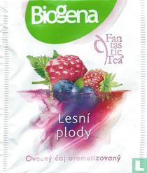 Lesní plody