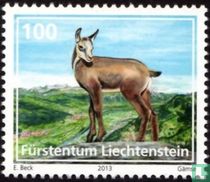 Young animals from the Alps