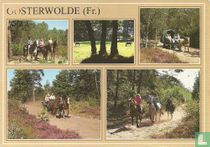 Oosterwolde (Fr.)