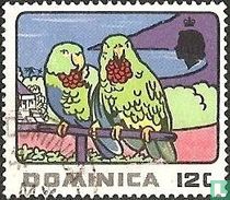 Red-necked Amazons