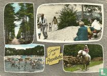 Groeten uit Appelscha