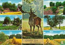 Groeten van de Veluwe