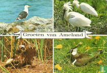 Groeten van Ameland
