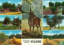 Groeten van de Veluwe - Ede