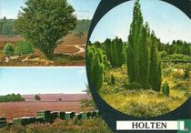 Holten