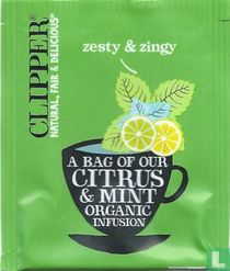zesty & zingy