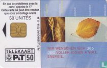 Bonne Année 1999 !