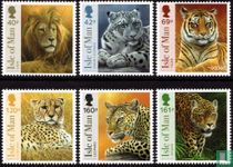 Big cats