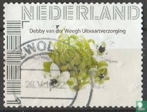 Debby van der Weegh Funeral Care