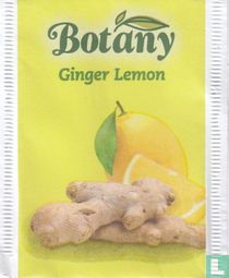 Ginger Lemon