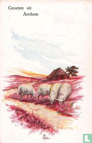 Groeten uit Arnhem