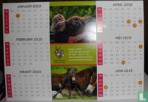 The Donkey Sanctuary