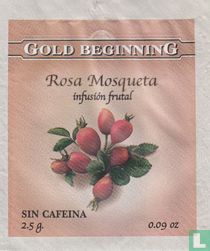 Gold Beginning sachets de thé catalogue