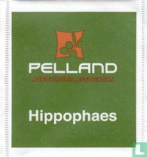 Pelland tea bags catalogue
