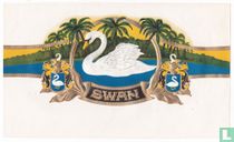 Swan