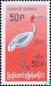 Oiseaux