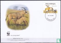 Roan antelope