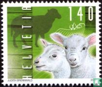 Farm animals