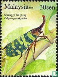 les insectes
