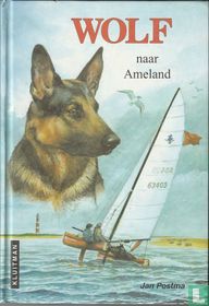 Wolf naar Ameland