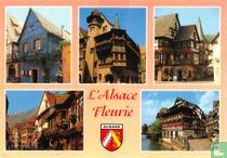 L'Alsace Fleurie