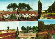 Groeten uit Ootmarsum