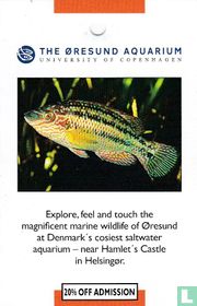 The Øresund Aquarium