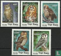 Owls