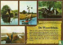 De Weerribben