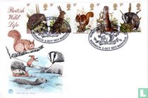 Wildlife