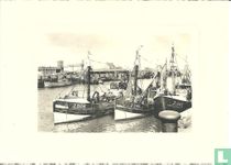 Zeebrugge  Vissershaven