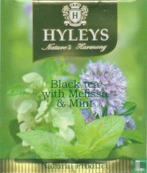 Hyleys tea bags catalogue