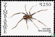 Spiders from southern Africa