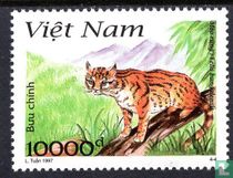 Animaux indigènes
