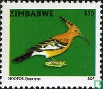 Eurasian hoopoe