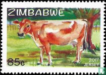 Beef breeds