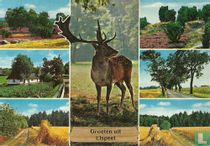 Groeten uit Elspeet 