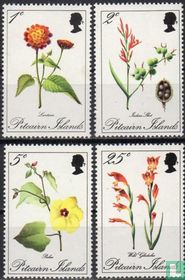 Flora