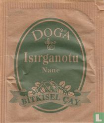 Isirganotu