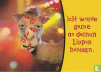 391 - Camel "Ich würde gerne an deinen lippen hängen"