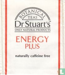 Energy Plus 
